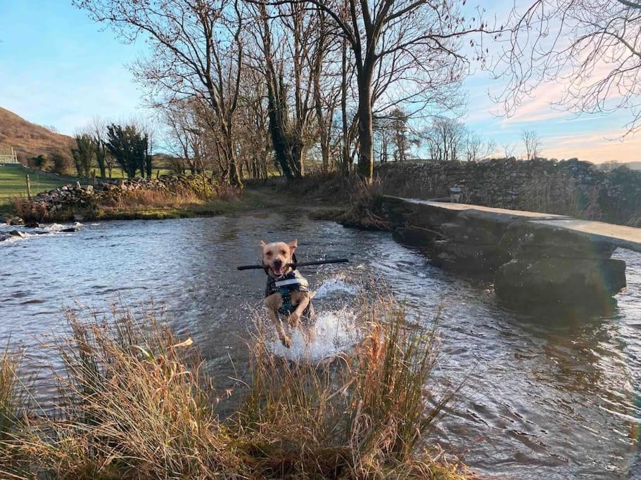 Charming Dog-Friendly Yorkshire Dales Cottage, Austwick Eksteriør billede